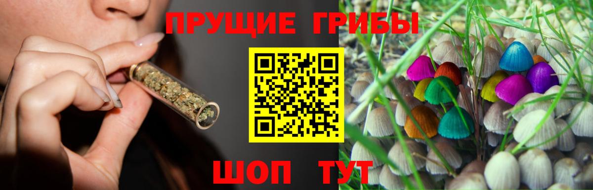 Псилоцибиновые грибы MAGIC MUSHROOMS Артём